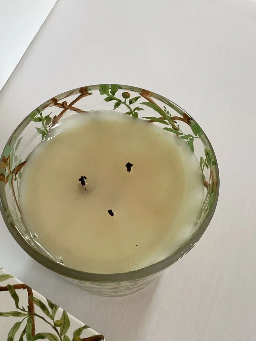 NEST Fragrances Santorini Olive & Citron Candle large size triple wick